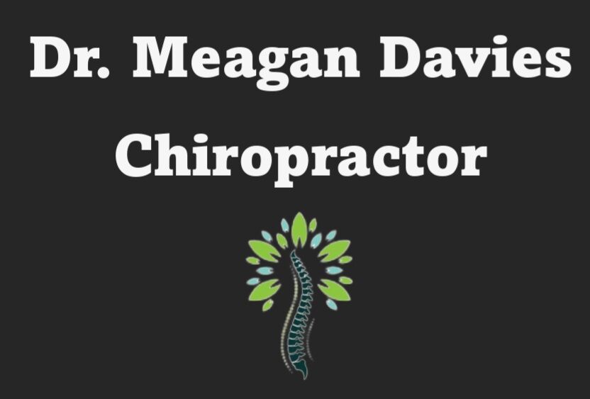 Dr. Meagan Davies Chiropractor